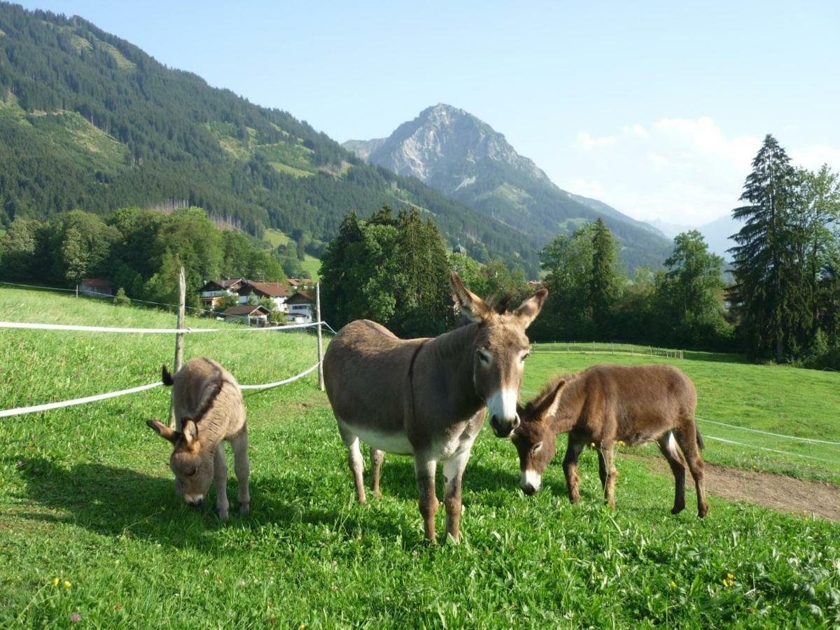 Ferienhof Alfred Albrecht Oberstdorf Exterior photo